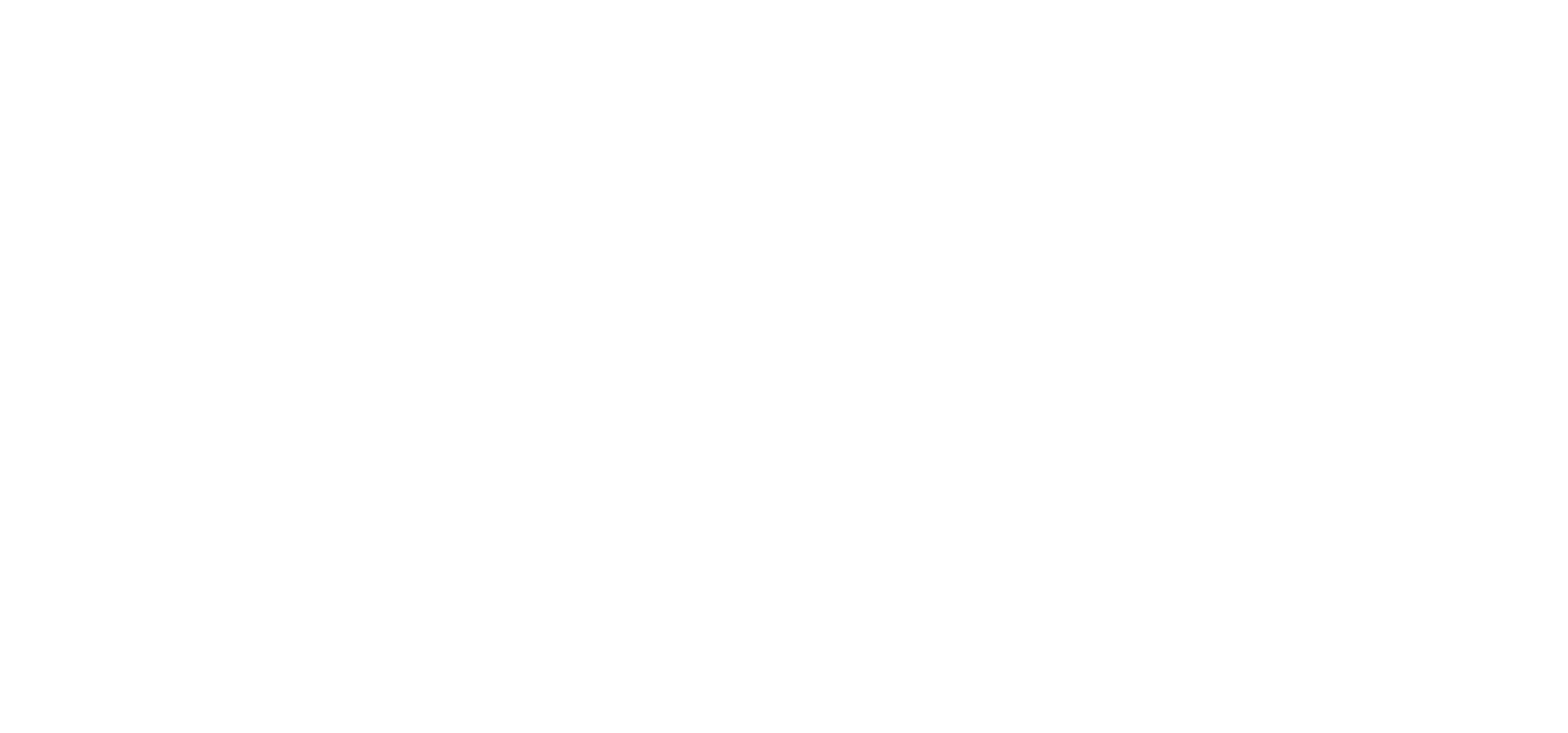 Logo firmy ANMACO